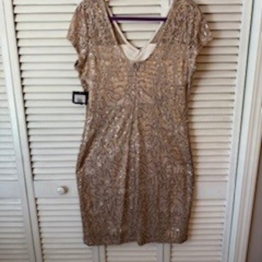 Evening Dress